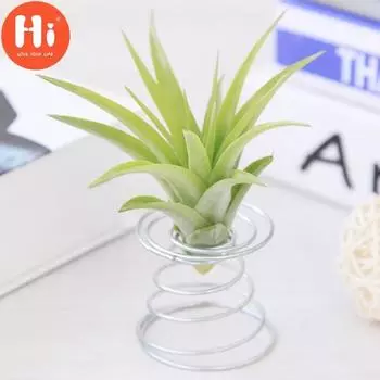 Hi Air Plant Tillandsia Подставка-держатель Контейнер Настольная ваза Tillandsia Настольная стойка для выставки товаров One size серебряный