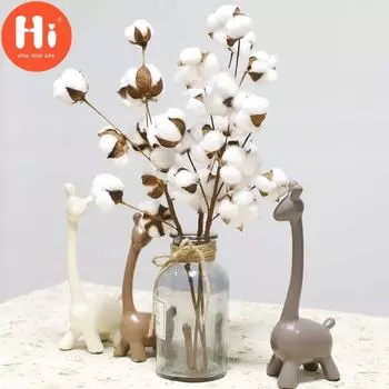 Hi Натурально высушенные стебли хлопка. Наполнитель для искусственных цветов в фермерском доме. Цветочный декор. Hi.