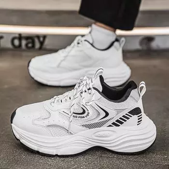 High-end men s shoes 2025 new spring mesh breathable youth casual matching trendy brand dad shoes 39 standard sneaker size