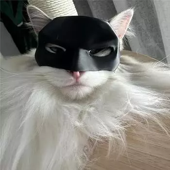High Quality Halloween Bat Mask For Cats For Halloween Cosplay