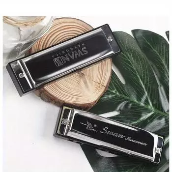 Высококачественная полированная диатоническая гармошка с 10 отверстиями — духовой инструмент для начинающих чёрный