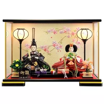 Хина Хина Принц Кейс Кейс Черное Окрашенное Стекло Ширина 42 x Глубина 24 x Высота Алюминиевая Стойка S0202Z Кукла, Кукла, Украшение, Украшение, Кейс, 31см,