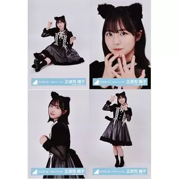 Hinatazaka46 raw photo 2024 костюм на хеллоуин 4 типа полный Yoko Shogenji