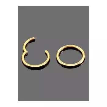 Хирургическая сталь 316l, цельное кольцо, пирсинг спирали козелка хряща с полным кольцом (размер Дополнительно-золото)