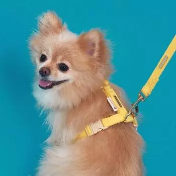 Хлопковая шлейка для собак Superpet, противоскользящий нагрудный ремень для собак типа H, 100% чистый хлопок, желтый