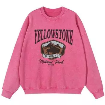 Хлопковый свитшот Yellowstone Park Printing для женщин, винтажный, выстиранный, тонкий, с круглым вырезом, винтажный оверсайз, с капюшоном S