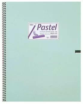 Holbein Pastel Book Coarse F6 size 18 sheets binding 270314 PAP-F6 139.5g