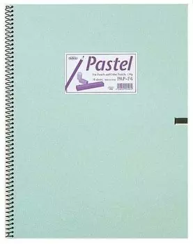 Holbein Pastel Book Rough grain SM size 18 sheets binding 270311 PAP-SM 139.5g