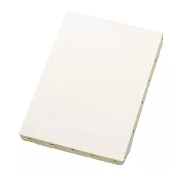 Holbein PC stretched canvas medium F4 151544 (for acrylic/oil painting) (synthetic fabric, grain)