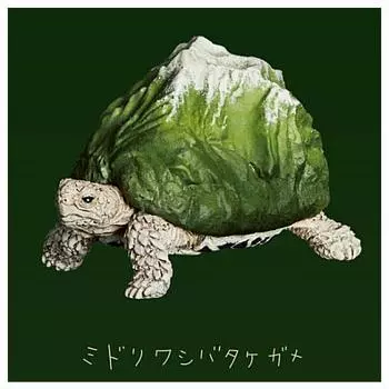 Hole Mountain Turtles Green Eagle Butterfly Gacha Gacha Capsule Toy Panda s (Перепродажа) [2. Черепаха] (Отдельный предмет)