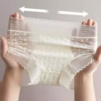 Hollow Out Lace Flower Briefs Transparent Panties for Women Breathable Lace Mesh Panties Lady L