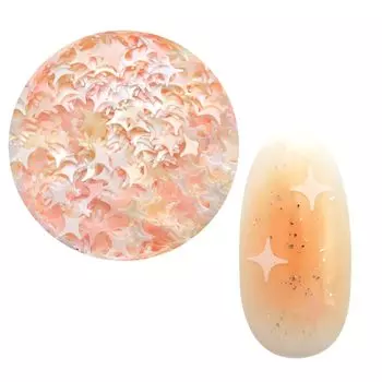 Hologram Lame Mixed Hologram Star Heart Circle Butterfly Gel Nail Art Nail Nail Art Studio Nail Official ([2] SHINING)