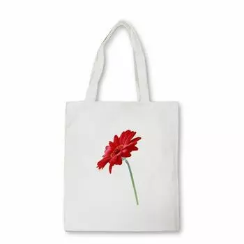 Холщовые сумки для женщин, дизайнерские сумки с художественной росписью для девочек, повседневные милые сумки с принтом Daisy для женщин, холщовая сумка 24*26cm