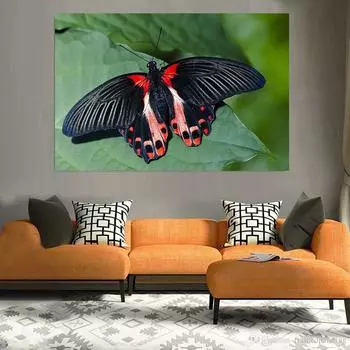 Холст Настенная картина животное бабочка яркая цветная настенная живопись милый постер домашний декор для гостиной холст художественный принт 21cm30cm NoFrame