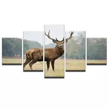 Холст, настенные художественные постеры, принты, картина, рамка, 5 панелей, рога животных, олень, олень для гостиной, домашний декор 20x35cm*2 20x45cm*2 20x55cm*1