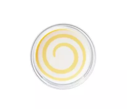 HONEY ROA Honey Pot Flat Primer 01 Прозрачный 8 г