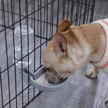 HOOPET автоматические миски для домашних животных, клетка для кошек, подвесная бутылка для воды, диспенсер для щенков, кошек, кроликов, собак, корм для животных серый