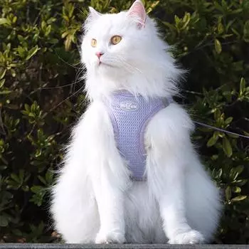 HOOPET Cat Leash Walking Cat Leash Anti-Breakaway Pet Outing Undershirt Type Small Dog Puppy Chest Strap Supplies XXS фиолетовый