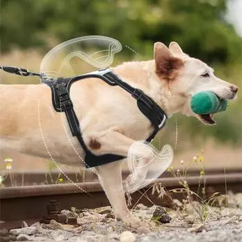 HOOPET нагрудный ремень для собак, поводок для собак, цепочка для прогулок для собак среднего и большого размера, золотистый ретривер, лабрадор, большой поводок для собак S чёрный