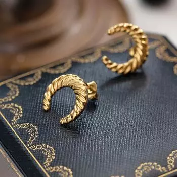 Horn Twist Earrings, Metal High-end Light Luxury Stainless Steel Earrings, Fashionable Titanium Steel Earrings