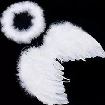 Hot Selling New Angel Photo and Baby Party Feather Decoration Kids For