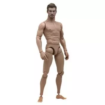 Hot Toys True Type Scale Figure Body New Male Body 1/6 Generation/White (Muscular Version)