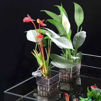 Бытовая гидропонная стойка для аквариума, устойчивая декоративная стойка для акваскейпов для комнатных растений прозрачный