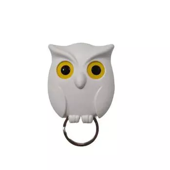 Household Owl Key Hook Entrance Foyer Wall Hanging and Non Punching Storage Key Hook