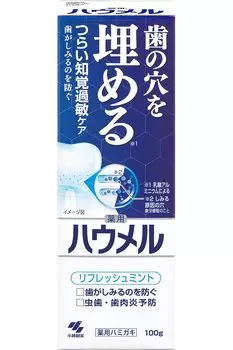 Howmel Sensitivity Care Paste Лечебная зубная паста 100 г Заполняет дырки в зубах Kobayashi Pharmaceutical 1 шт [Квази-лекарство]