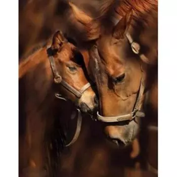 Huacan 5d Алмазная картина Две лошади Полная круглая вышивка Ремесло Стена Искусство Подарок для домашнего декора 30*40 CM