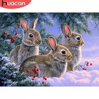 HUACAN 5D DIY алмазная живопись кролик полная квадратная круглая алмазная вышивка животное мозаика картина из стразов Декор для дома Full Square 20*30 cm
