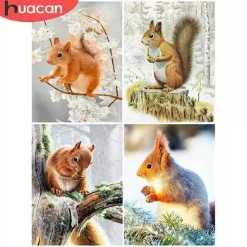 HUACAN алмазная живопись белка полная квадратная круглая дрель 5D Алмазная вышивка мозаика животное вышивка крестиком украшение дома Full Square 20*30 cm
