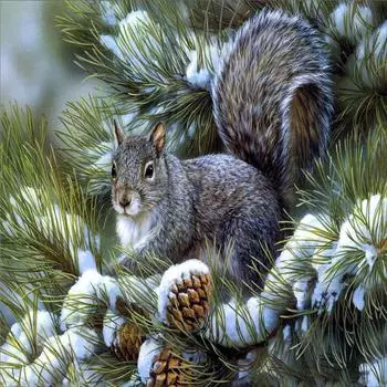 Huacan алмазная живопись маленькая милая белка DIY картина вышивка крестиком наклейка на стену 30*30 cm