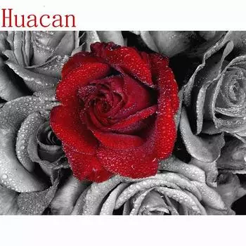 Huacan Daimond Картина Бело-красные розы 3D Алмазная картина Круглые стразы Алмазная картина Вышивка 30x40