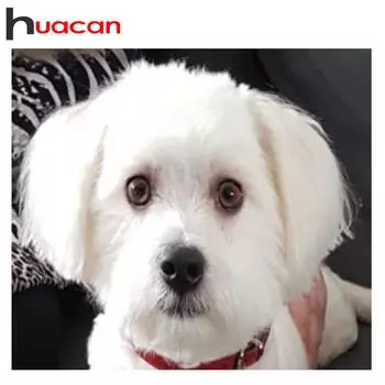 Huacan Diy 5D алмазная живопись животные полная квадратная/круглая Новое поступление картина Алмазная вышивка собака распродажа для домашнего декора Full Round 20*30 cm