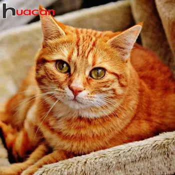 Huacan Full Drill Square 5D DIY Алмазная картина Оранжевый милый кот Алмазная вышивка Крестиком Мозаичная картина 30*40