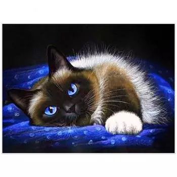 Huacan Полная Алмазная картина Вышивка крестиком Кошка Алмазная вышивка Животные Узор Алмазная мозаика 20*30 cm