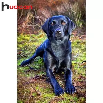 HUACAN полная квадратная Алмазная вышивка «сделай сам» картина собака наборы для вышивки крестом животные горный хрусталь Рождественский подарок Full square 20*30 cm