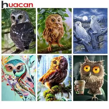 HUACAN полная квадратная алмазная живопись Сова 5D Алмазная вышивка животные изображение горный хрусталь DIY Алмазная мозаика Full Square 30*40 cm