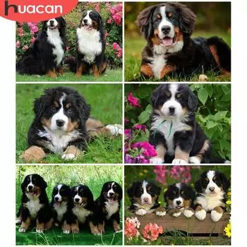 HUACAN полная квадратная круглая алмазная живопись собака вышивка крестиком Алмазная вышивка животные стразы фотографии ремесла Full Square 20*30 cm