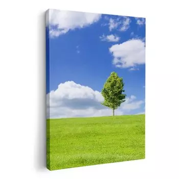 Художественная панель картина украшение igsticker 594 мм x 841 мм A1 фото настенное крепление деревянная рамка интерьер стильный 005883 фото небо луга фото/пейзаж