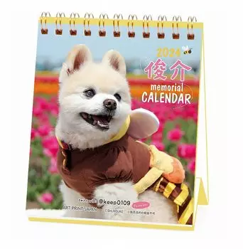 Художественная печать Япония 2024 Сюнсукэ (Еженедельный мини) Календарь №049