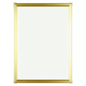 Художественная печать Япония APJ Рамка E Рамка A1 Золото 1000010804 золотой