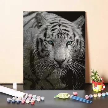 Художественные цифры, картина маслом, холст, сделай сам, картина по номерам, украшение дома, цифровая картина маслом 40x50cm no frame