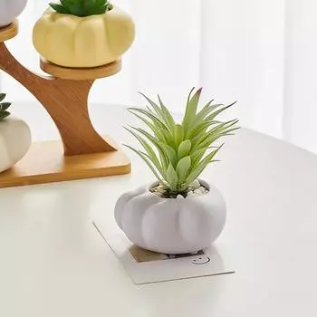 Художественный мультяшный домашний декор Украшения Украшение комнаты Суккулентные горшки для растений Настольные кашпо Декоративные цветочные горшки Поделки