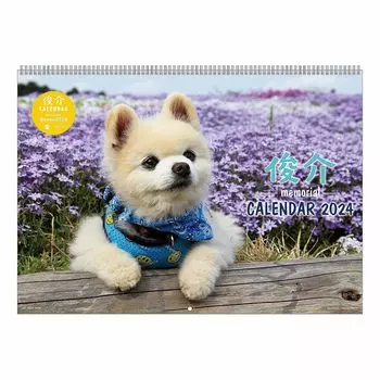 Художественный принт Япония Календарь Сюнсукэ на 2024 год №048