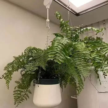 Художественный телескопический крючок с регулируемой длиной, клетка для птиц, зеленые водоросли, крючок для цветочного горшка