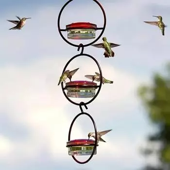 Hummingbird Feeder, Beautiful Hanging Bird Feeder with Circular Metal Frame and Metal Bottle. Hummingbird Feeder