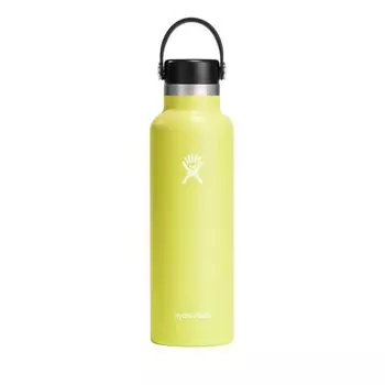 Hydro Flask Hydration 21oz Standard Mouse Cactus (621ml)
