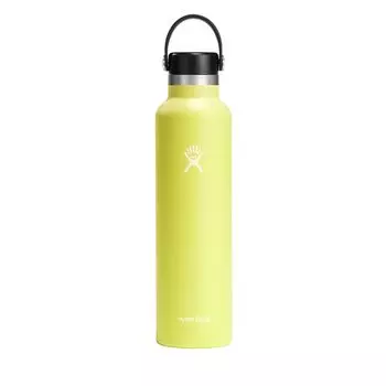 Hydro Flask Hydration 24oz Standard Mouse Cactus (709ml)